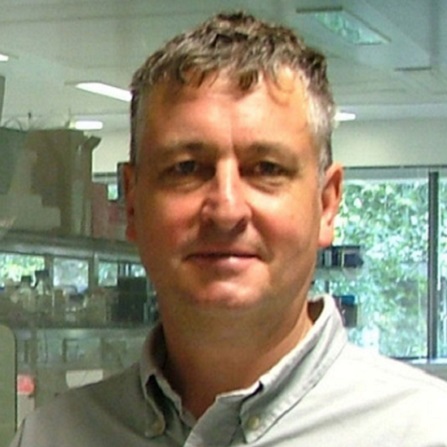 Tom Wileman